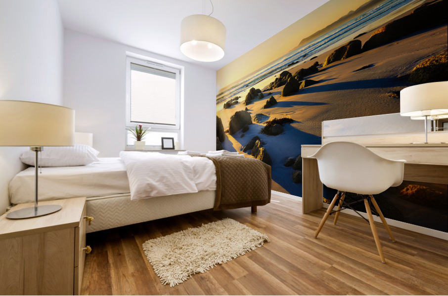 First Light - Friendly Beaches - Tasmania Mural print