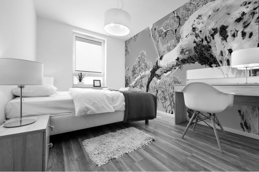 Burnt Ghost Gum - BW Mural print