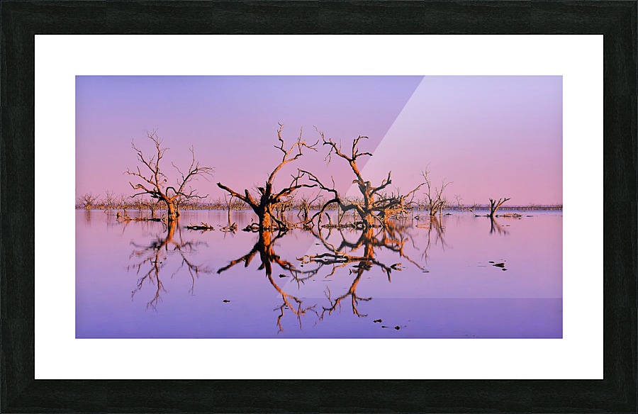 Twin Reflections - Pamamaroo Lake Picture Frame print