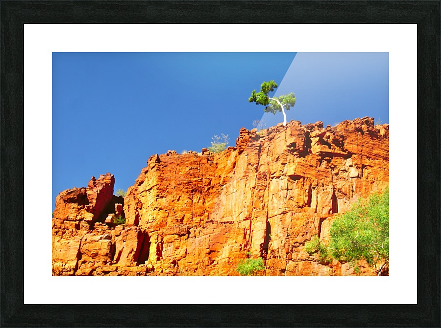 Lone Ghost Gum Tree Picture Frame print