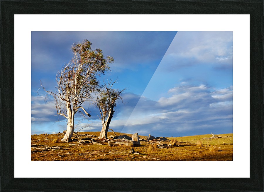 After the Storm Picture Frame print