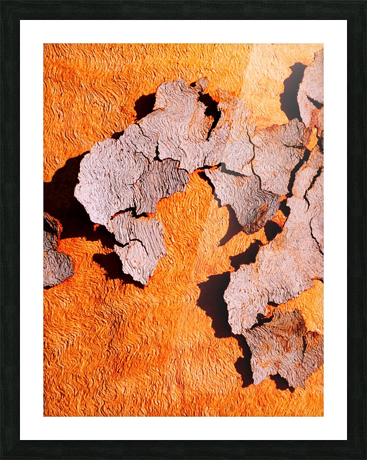 Salmon Bark Peeling 2 Picture Frame print