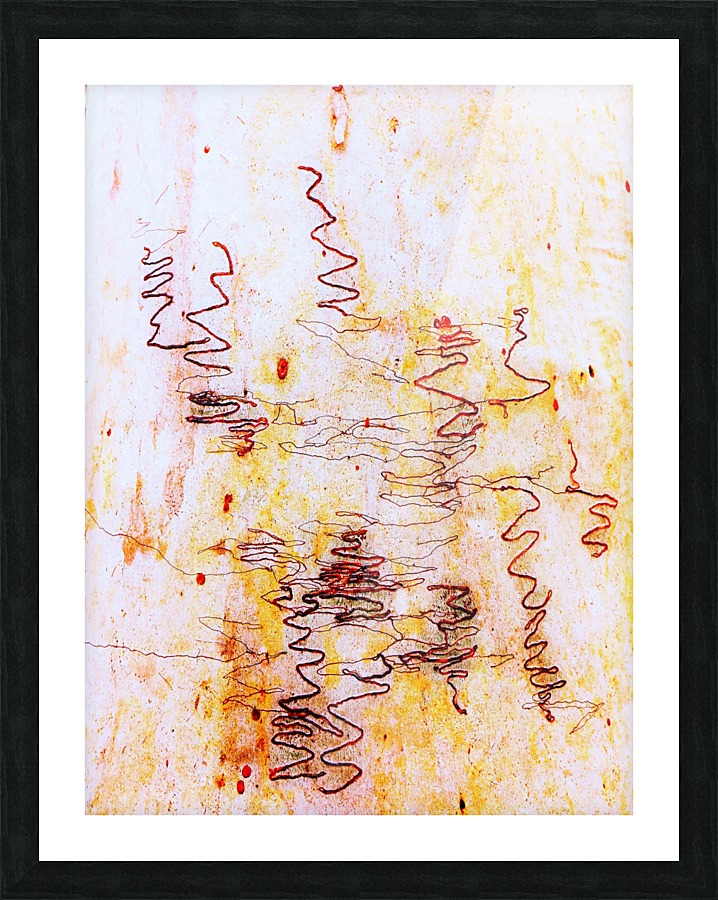 Scribbly Gum Bark 2 Picture Frame print