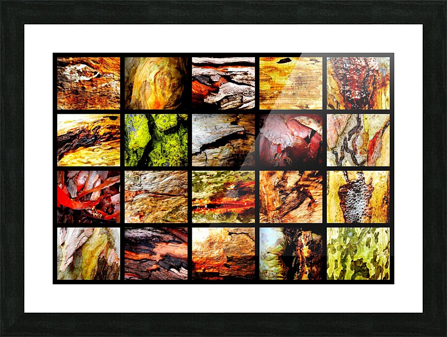 Wet Tree Bark Montage Picture Frame print