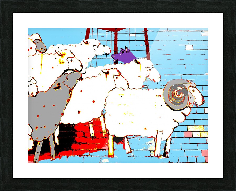 Cattle Dog and Sheep - Blue Picture Frame print