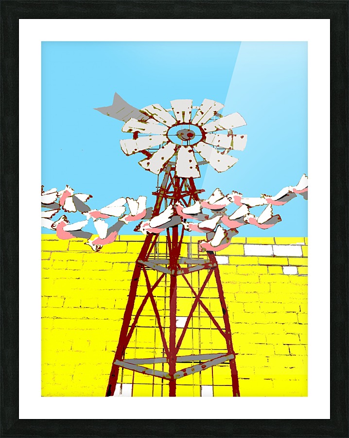 Windmill and Galahs Picture Frame print