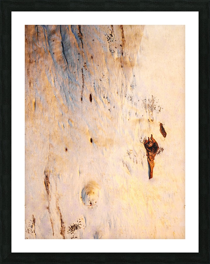 Ghost Gum Bark - 1 Picture Frame print