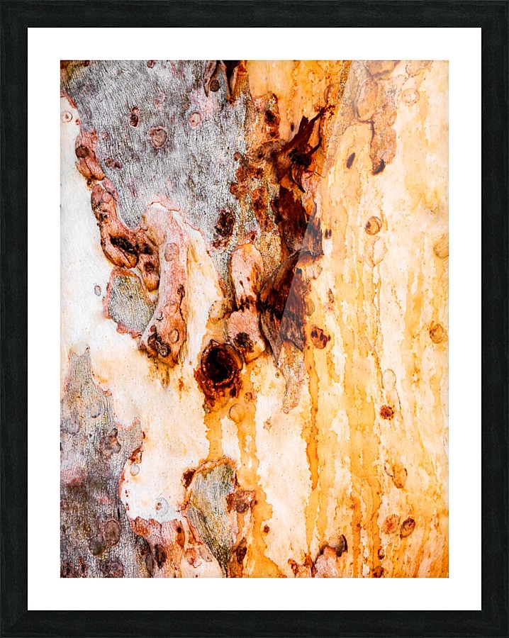 Ghost Gum Bark - 4 Picture Frame print