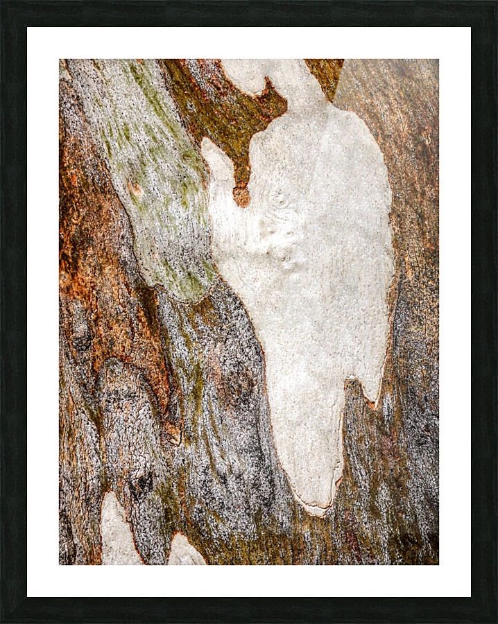 Ghost Gum Bark - 5 Picture Frame print