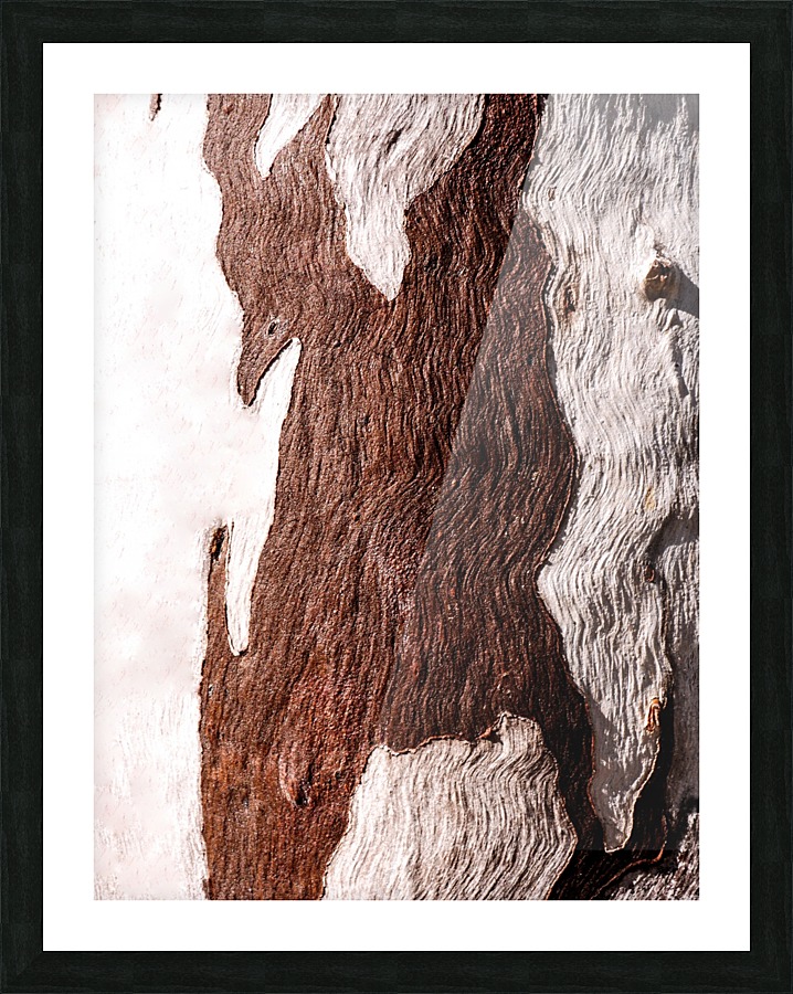 Ghost Gum Bark - 6 Picture Frame print