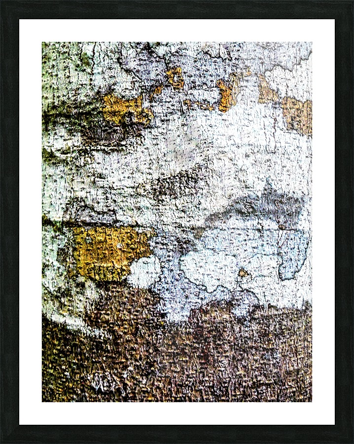Aussie Gum Tree Bark - 2 Picture Frame print