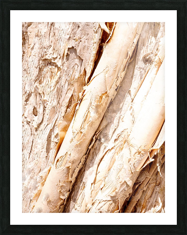 Aussie Gum Tree Bark - 7 Picture Frame print