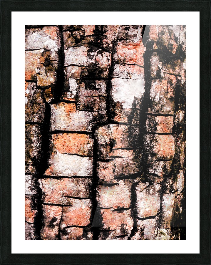 Aussie Gum Tree Bark - 5 Picture Frame print