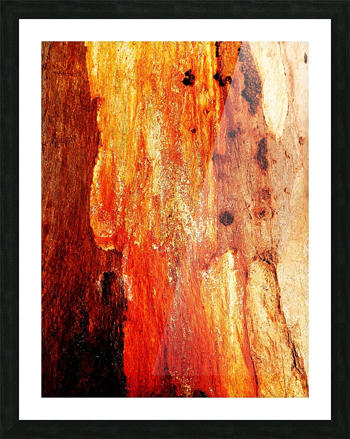 Murray Gum Tree Bark 2 Picture Frame print