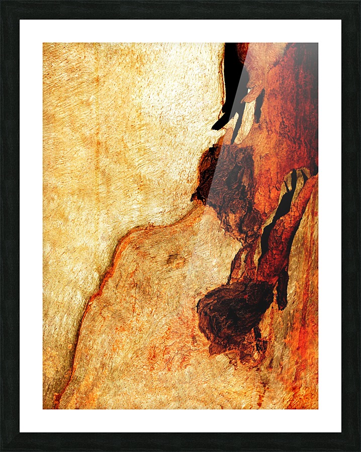 Murray Gum Tree Bark 3 Picture Frame print
