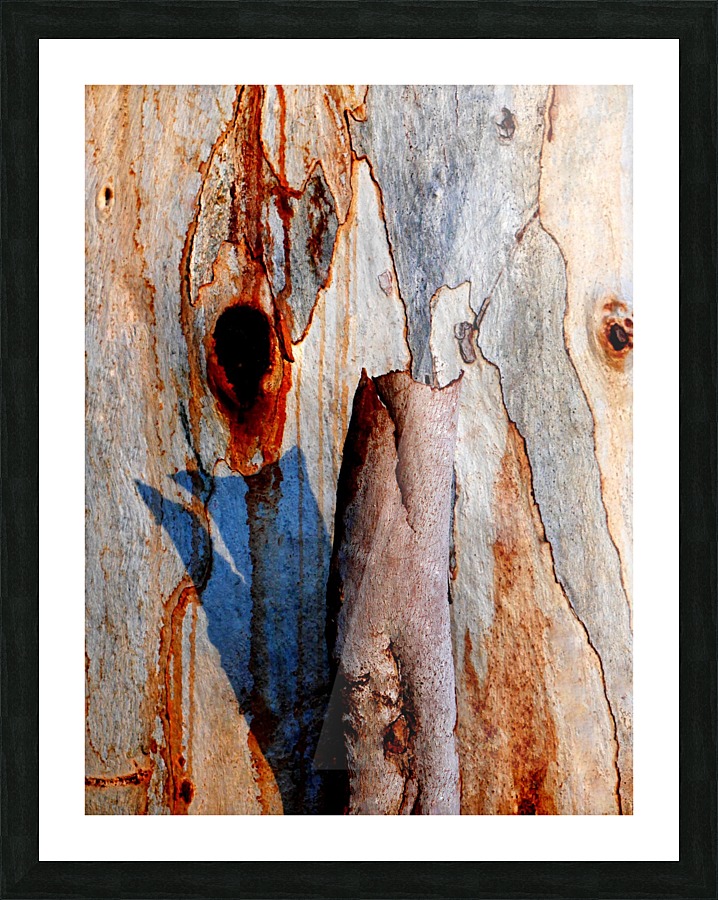 Murray Gum Tree Bark 5 Picture Frame print