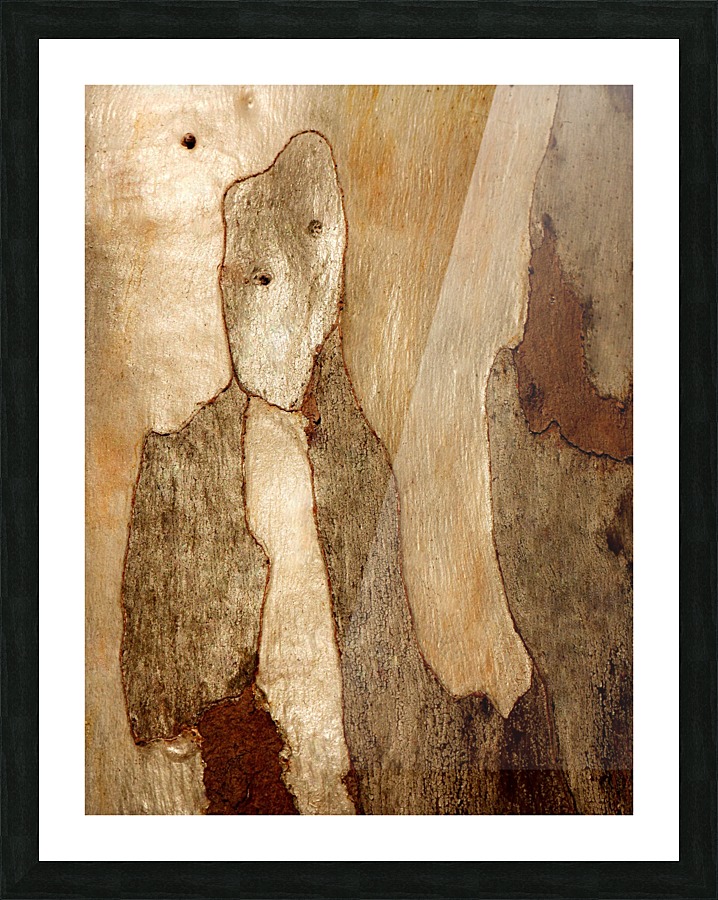 Murray Gum Tree Bark 6 Picture Frame print
