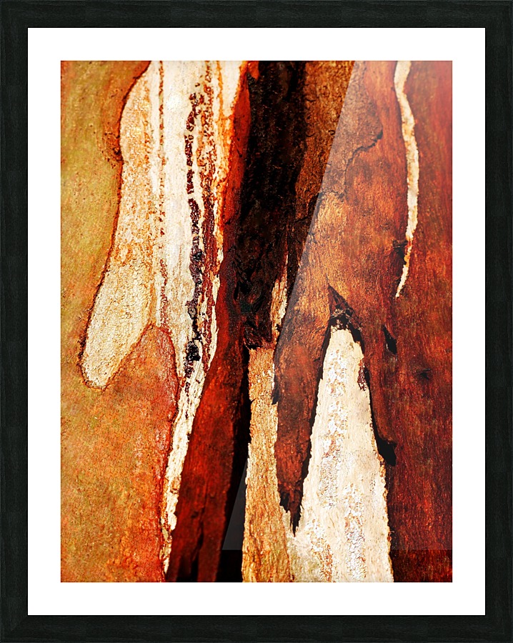 Murray Gum Tree Bark 8 Picture Frame print
