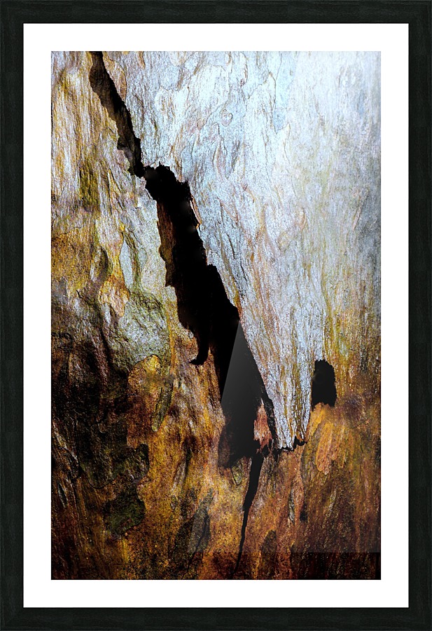 Aussie Gum Tree Bark - 8 Picture Frame print