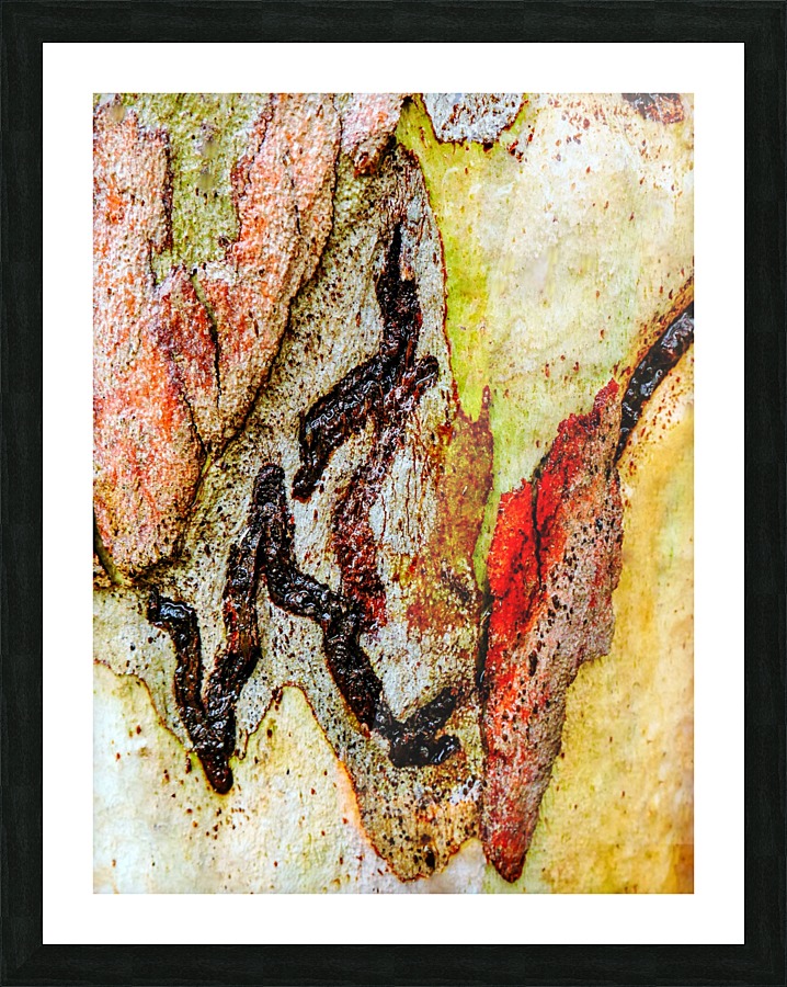 Aussie Gum Tree Bark - 9 Picture Frame print