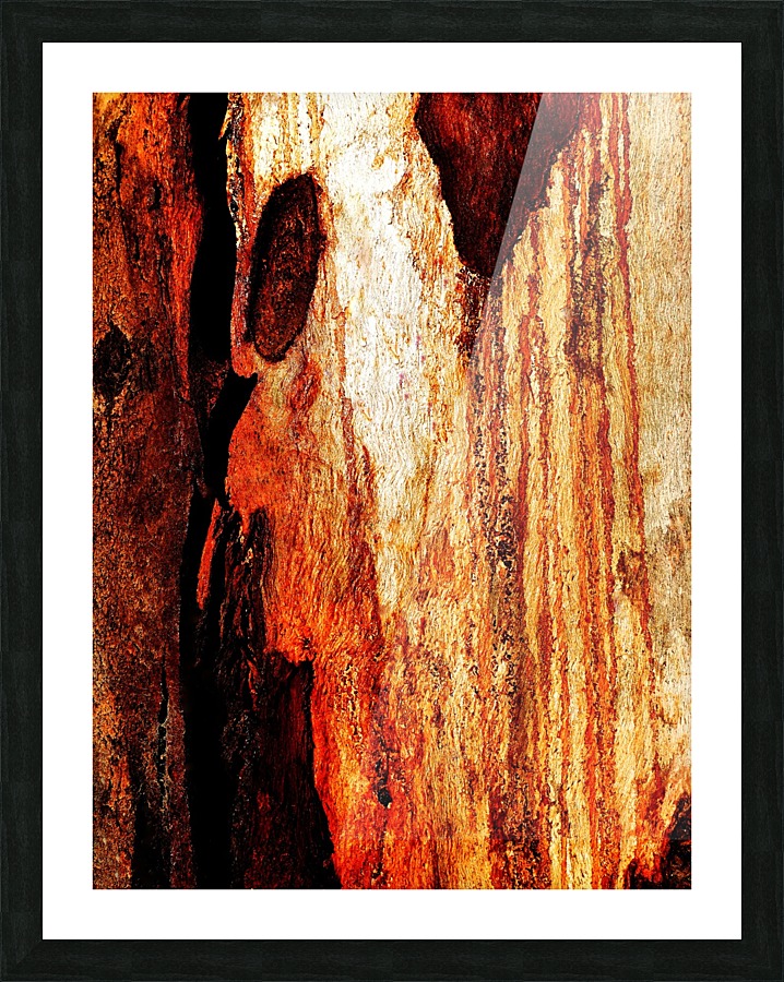 Murray Gum Tree Bark 16 Picture Frame print