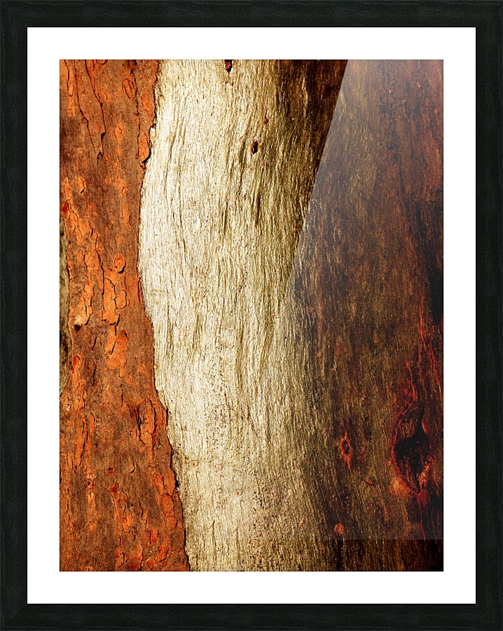 Murray Gum Tree Bark 17 Picture Frame print