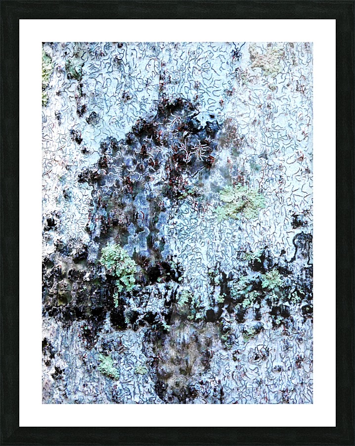 Aussie Gum Tree Bark - 11 Picture Frame print