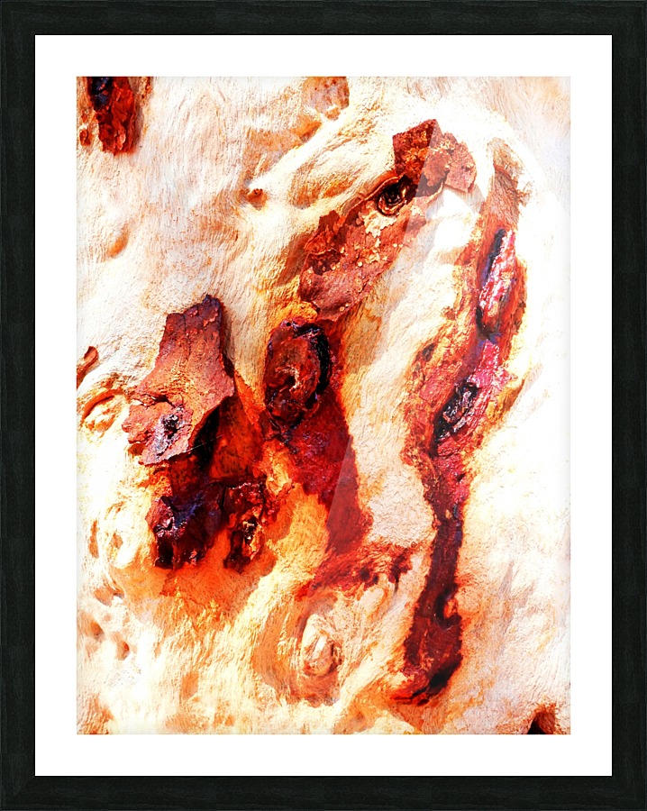 Aussie Gum Tree Bark - 13 Picture Frame print