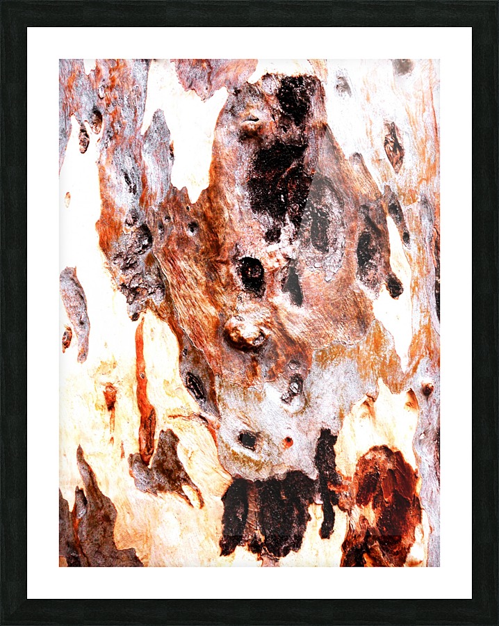 Aussie Gum Tree Bark - 17 Picture Frame print