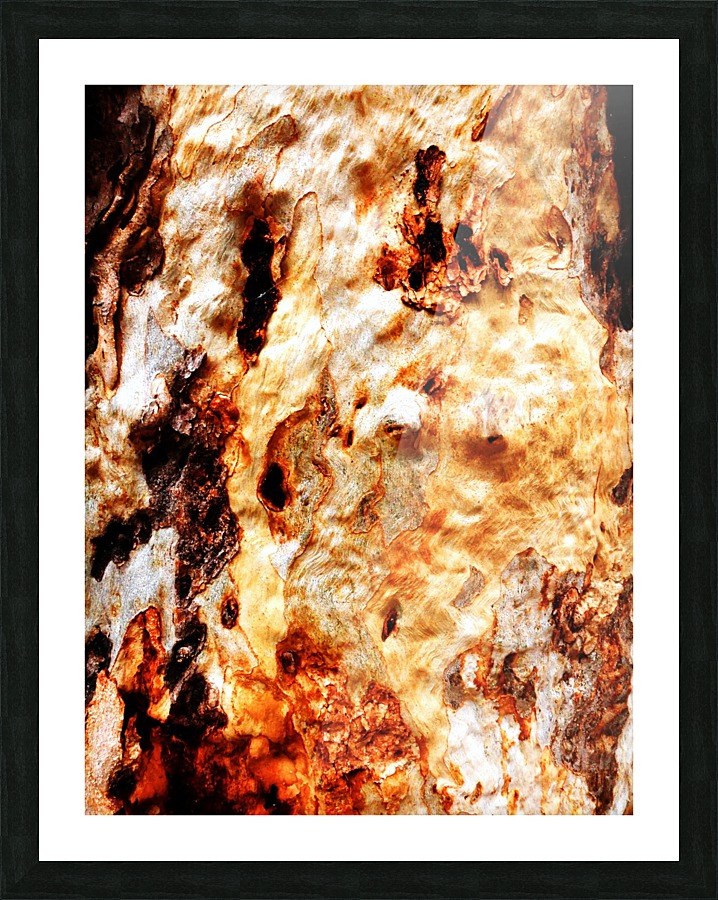 Aussie Gum Tree Bark - 19 Picture Frame print