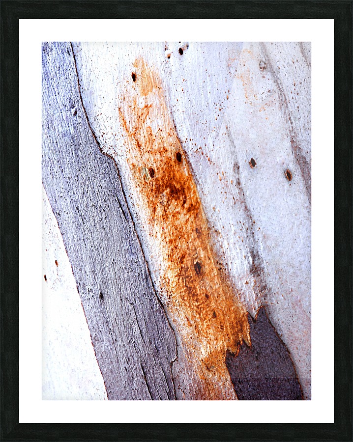 Aussie Gum Tree Bark - 20 Picture Frame print