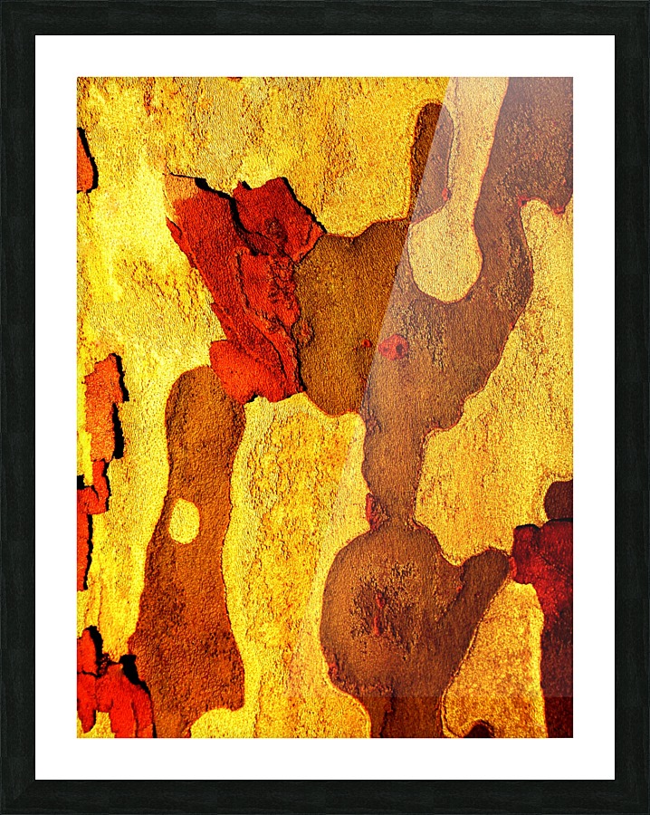 Aussie Gum Tree Bark - 21 Picture Frame print