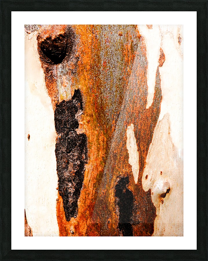 Aussie Gum Tree Bark - 23 Picture Frame print