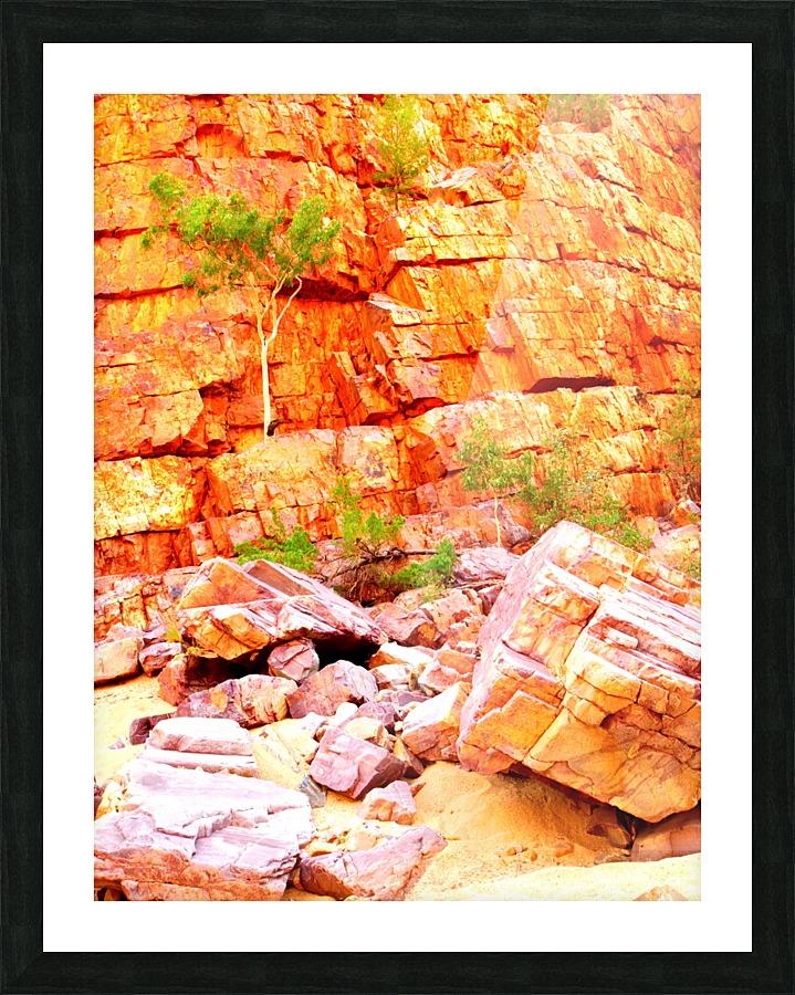 Surviving - Ormiston Gorge Picture Frame print