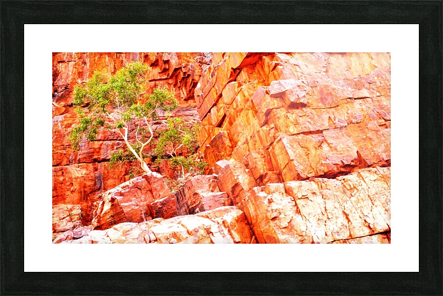 Pink Delight - Ormiston Gorge Picture Frame print