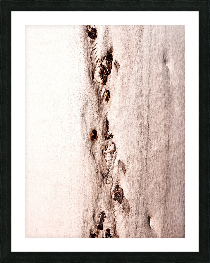 Ghost Gum Bark - 8 Picture Frame print