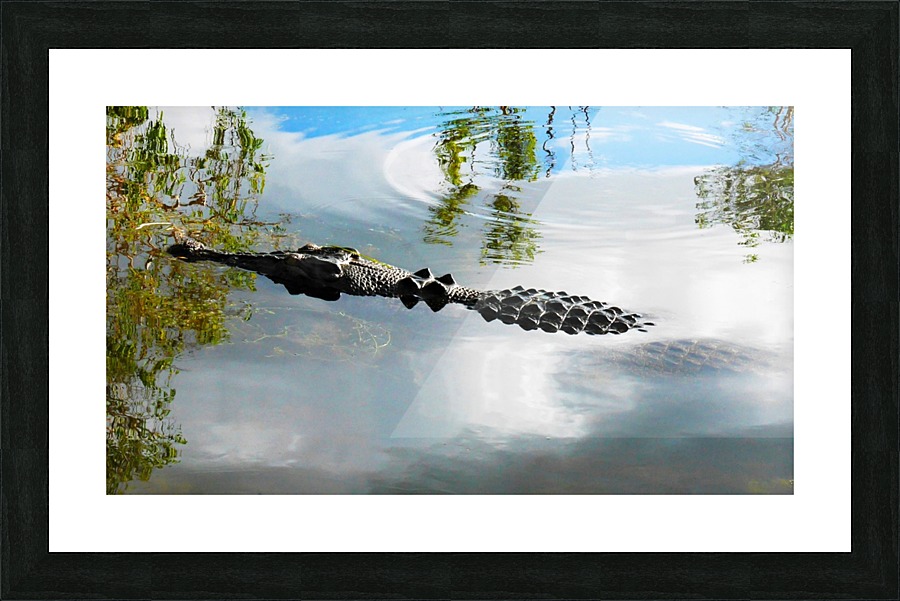 Lurking Picture Frame print