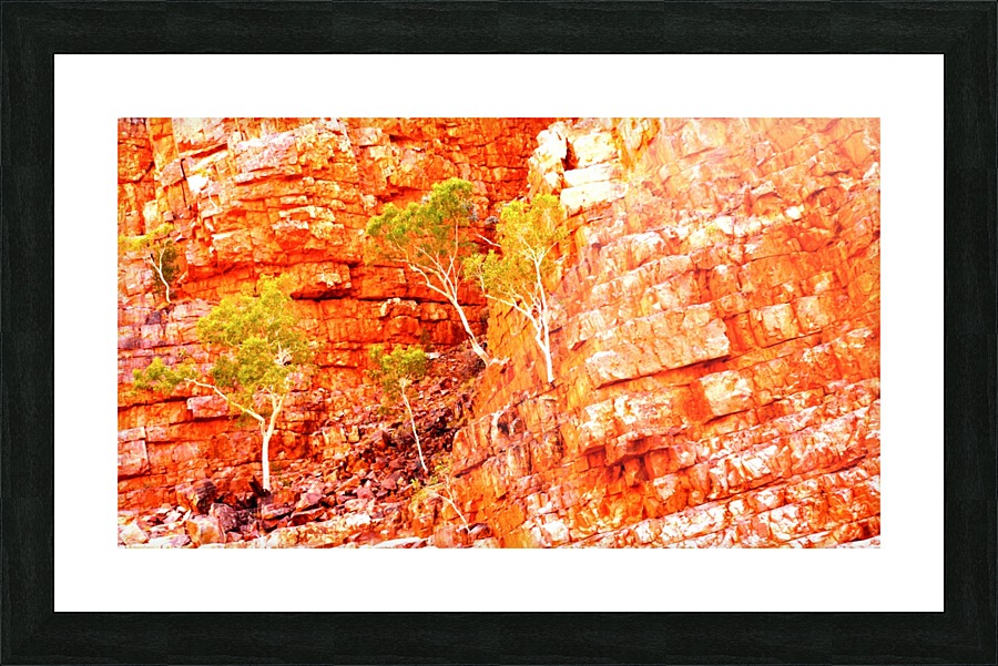 Growing in the Rocks - Ormiston Gorge Picture Frame print
