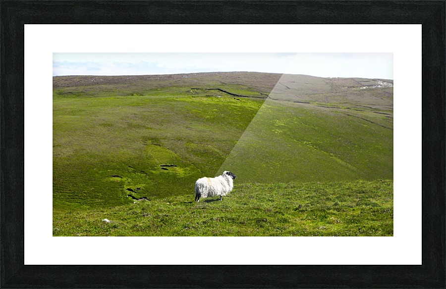 All Alone Picture Frame print