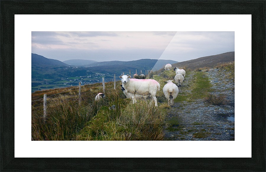 Rural Path to Glencolmcille Picture Frame print