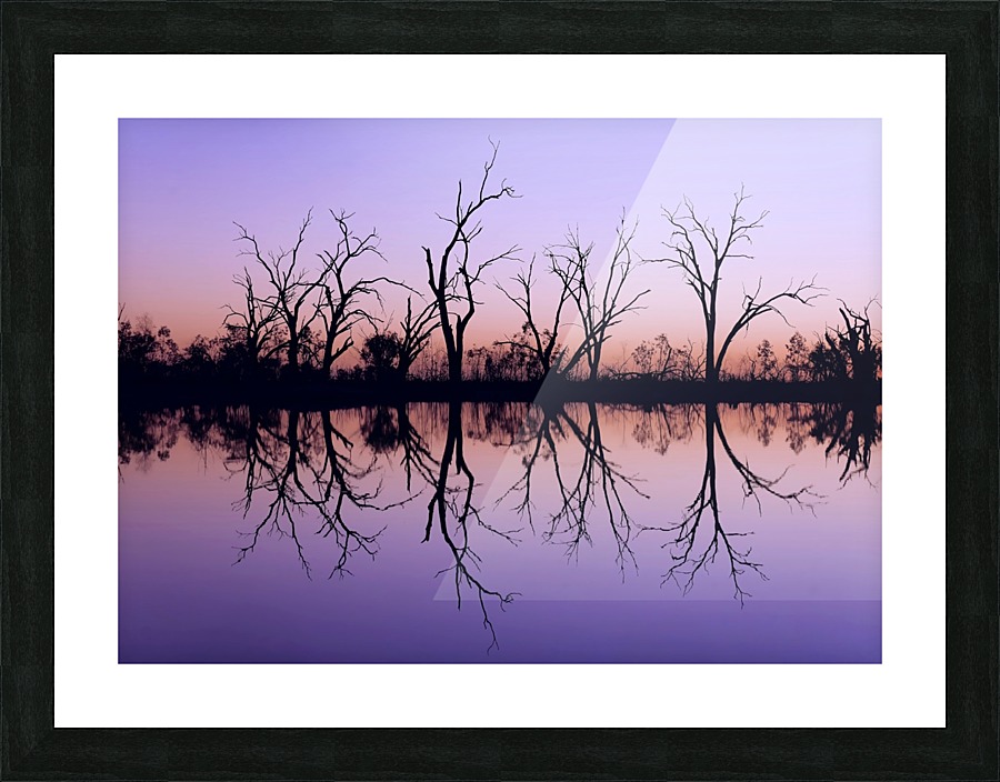 Tree Skeleton Silhouettes Picture Frame print