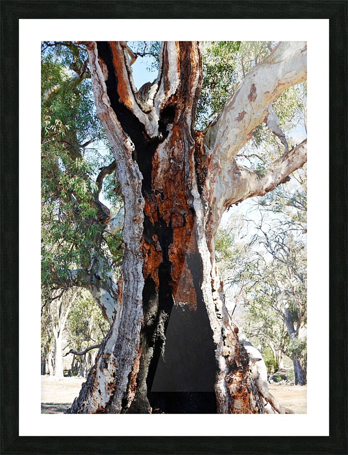 Burnt Out Picture Frame print