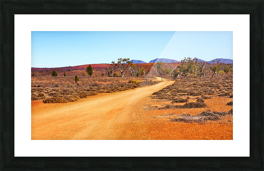 Track in the Outback Picture Frame print