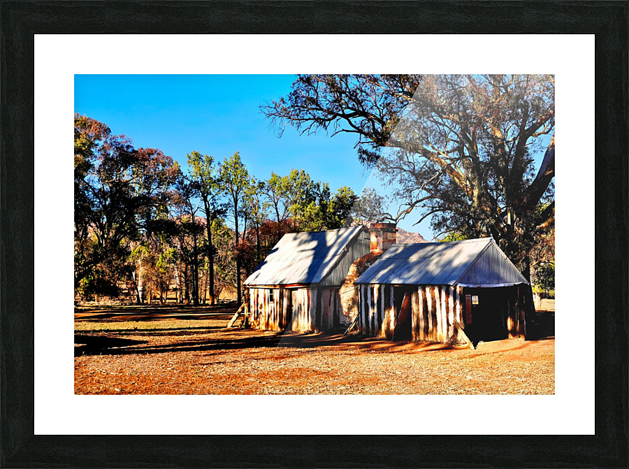 Old Wilpena Station  Picture Frame print