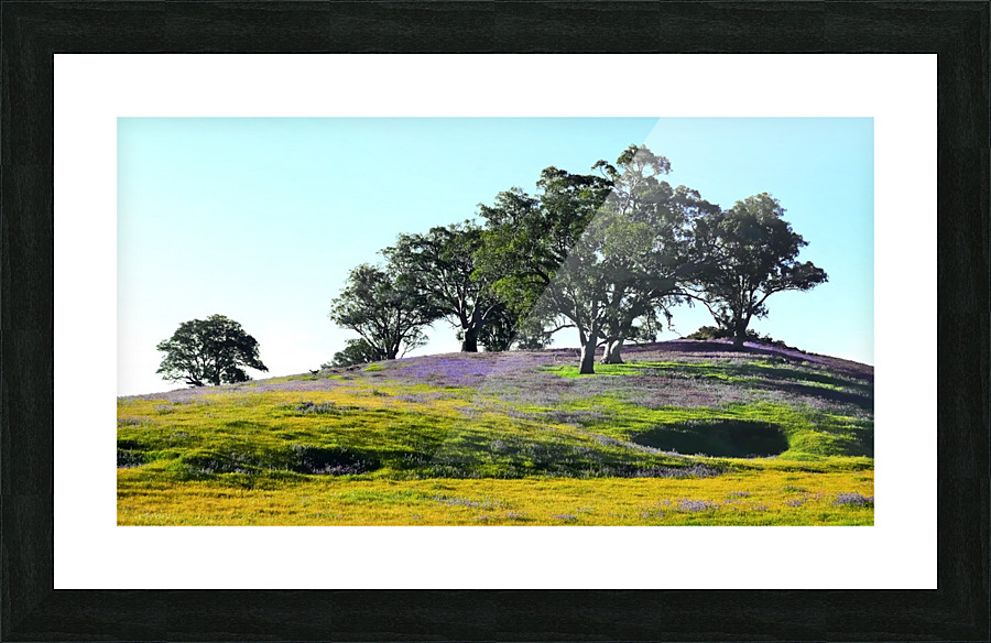 Barossa Valley in Spring Picture Frame print