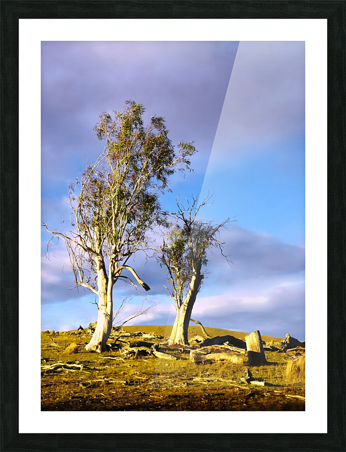 Storm Breaking 2 Picture Frame print