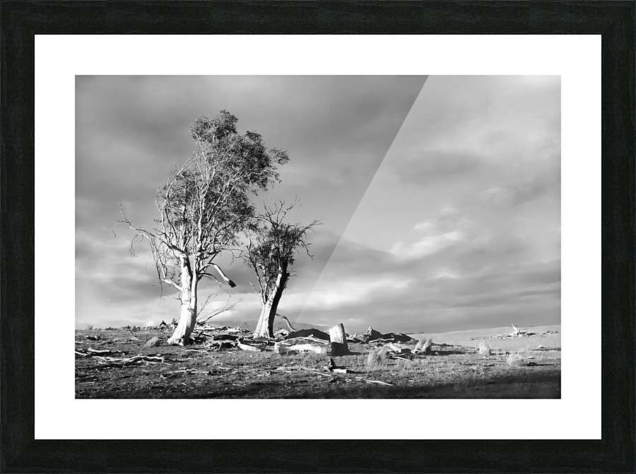 Storm Breaking - BW Picture Frame print