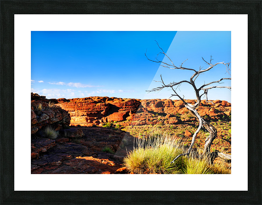 Bare Tree - Kings Canyon  Picture Frame print