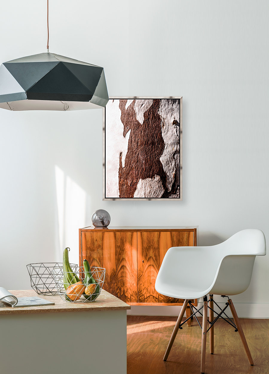 Ghost Gum Bark - 6 Reproduction