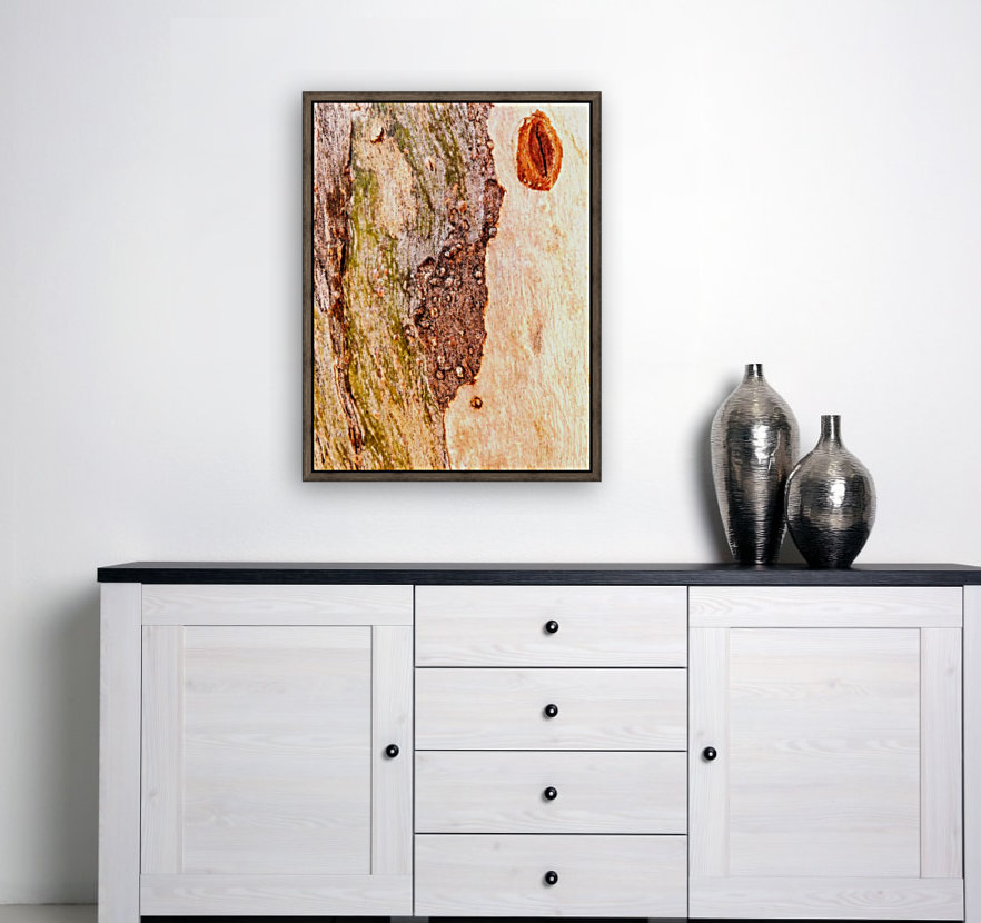 Aussie Gum Tree Bark - 3 Reproduction